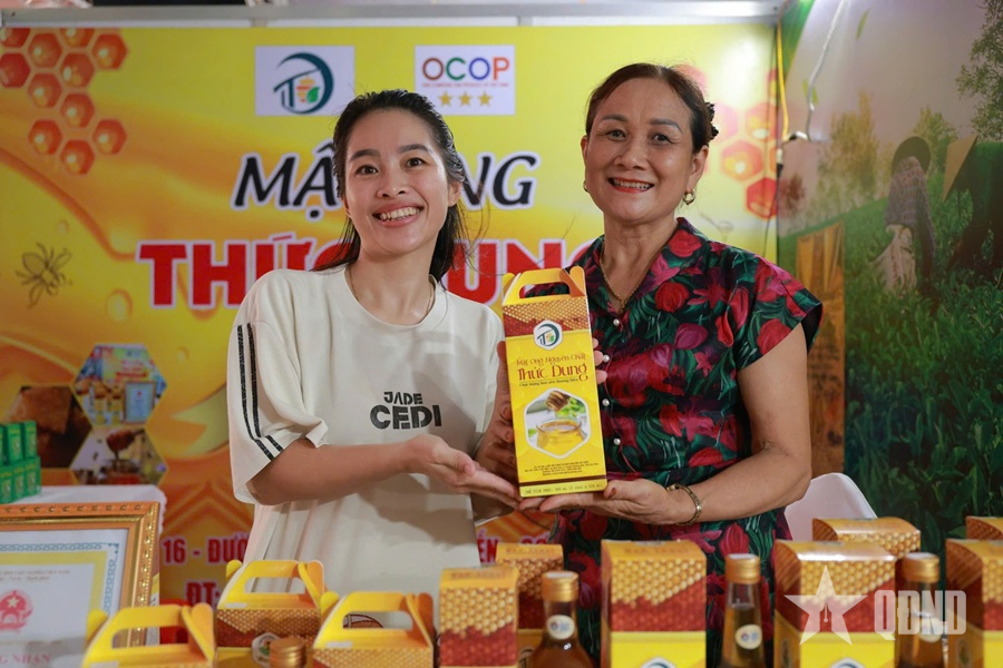 Sức bật mới cho công nghiệp nông thôn miền Trung - Tây Nguyên